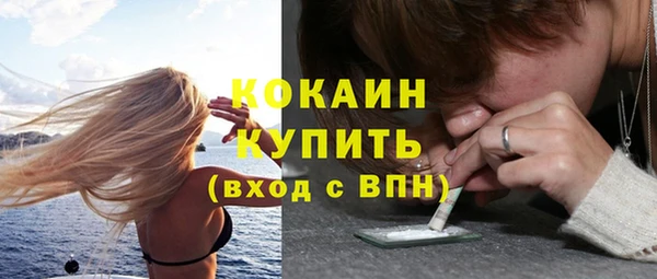 шишки Краснослободск