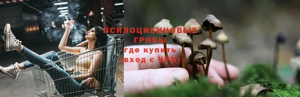 сатива Красноперекопск