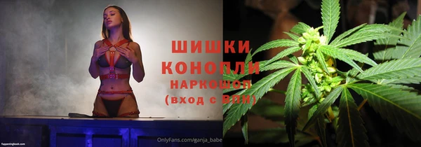 шишки Краснослободск
