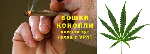 сатива Красноперекопск