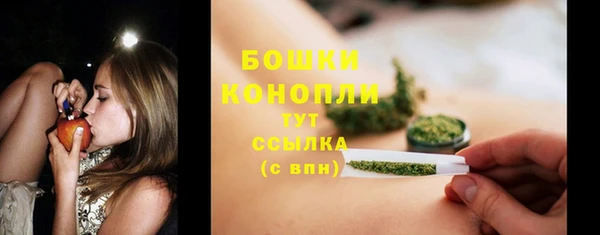 сатива Красноперекопск