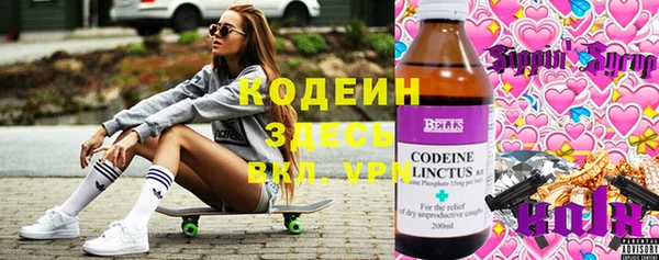 шишки Краснослободск