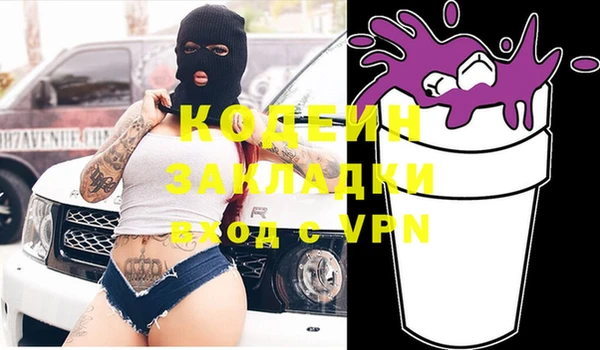 шишки Краснослободск
