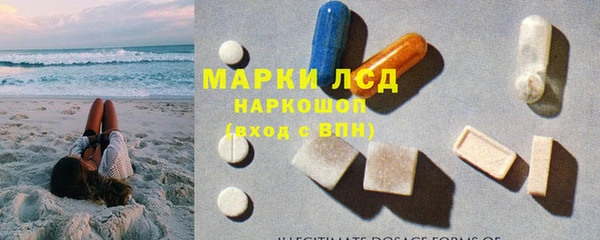 шишки Краснослободск